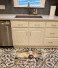 Bloodhound The Chef Memory Foam Kitchen Mat Machine Washable Anti-Fatigue Mat Cushion Comfort Bath Mat or Kitchen Rug