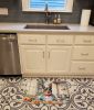 Australian Cattle Dog The Chef Memory Foam Kitchen Mat Machine Washable Anti-Fatigue Mat Cushion Comfort Bath Mat or Kitchen Rug